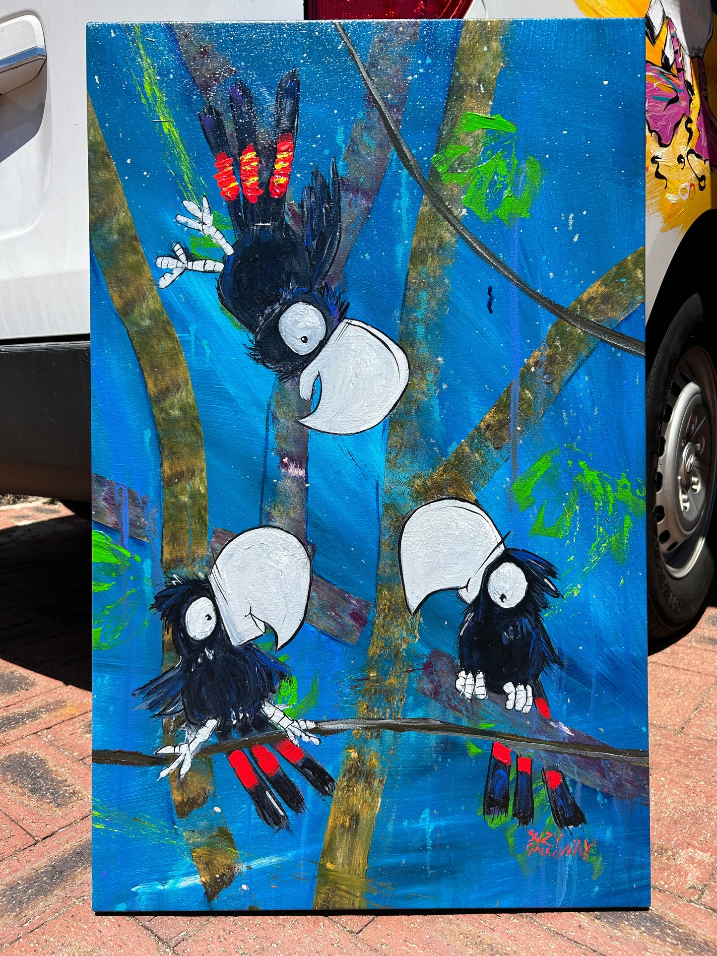 Black cockatoo collection (individual or group sale)