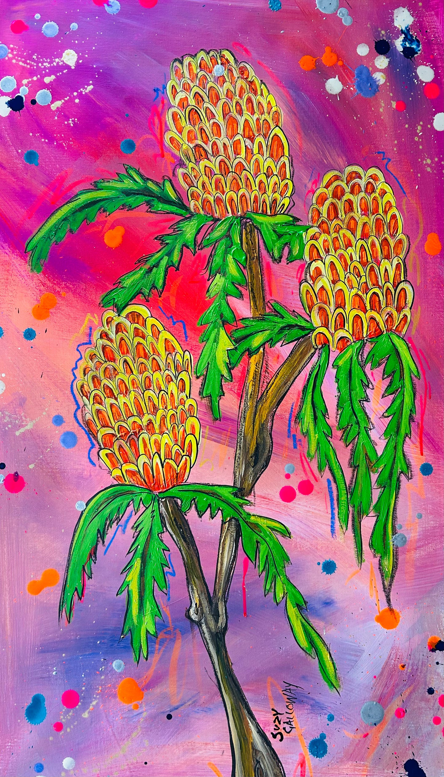 Bright Banksia