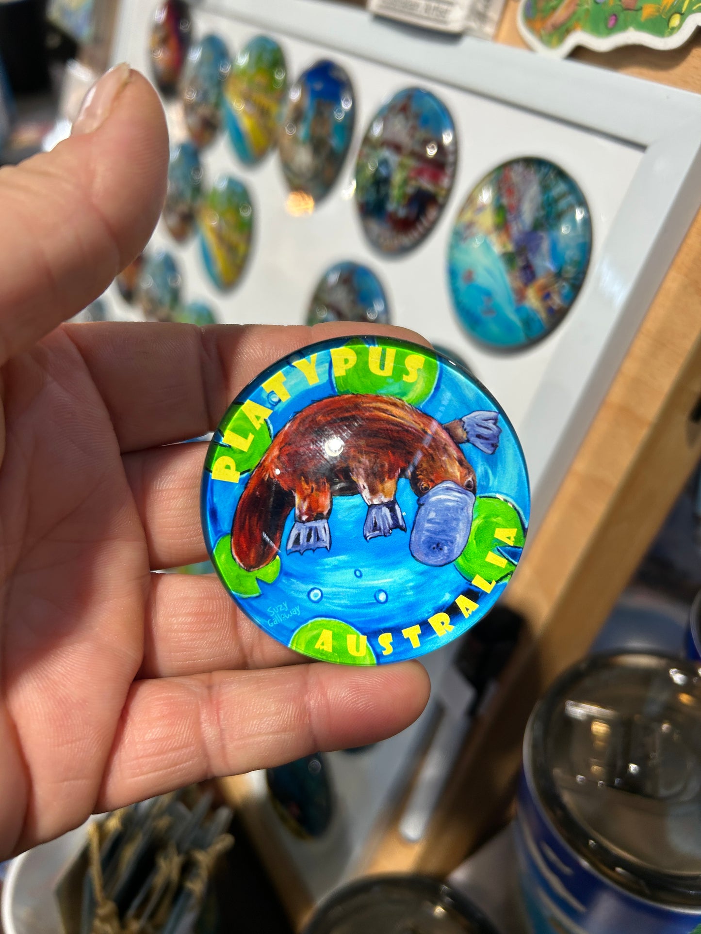 Magnet Glass Dome - Platypus