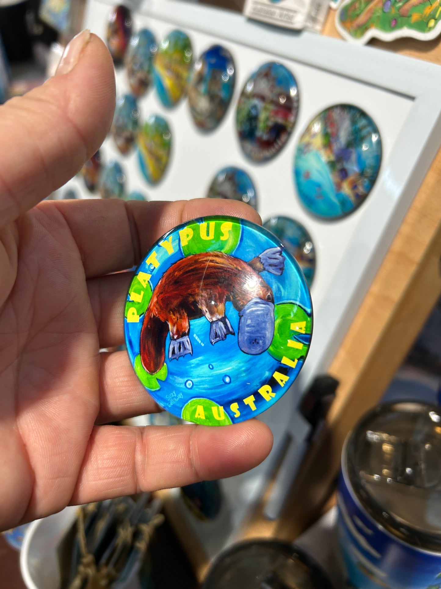 Magnet Glass Dome - Platypus
