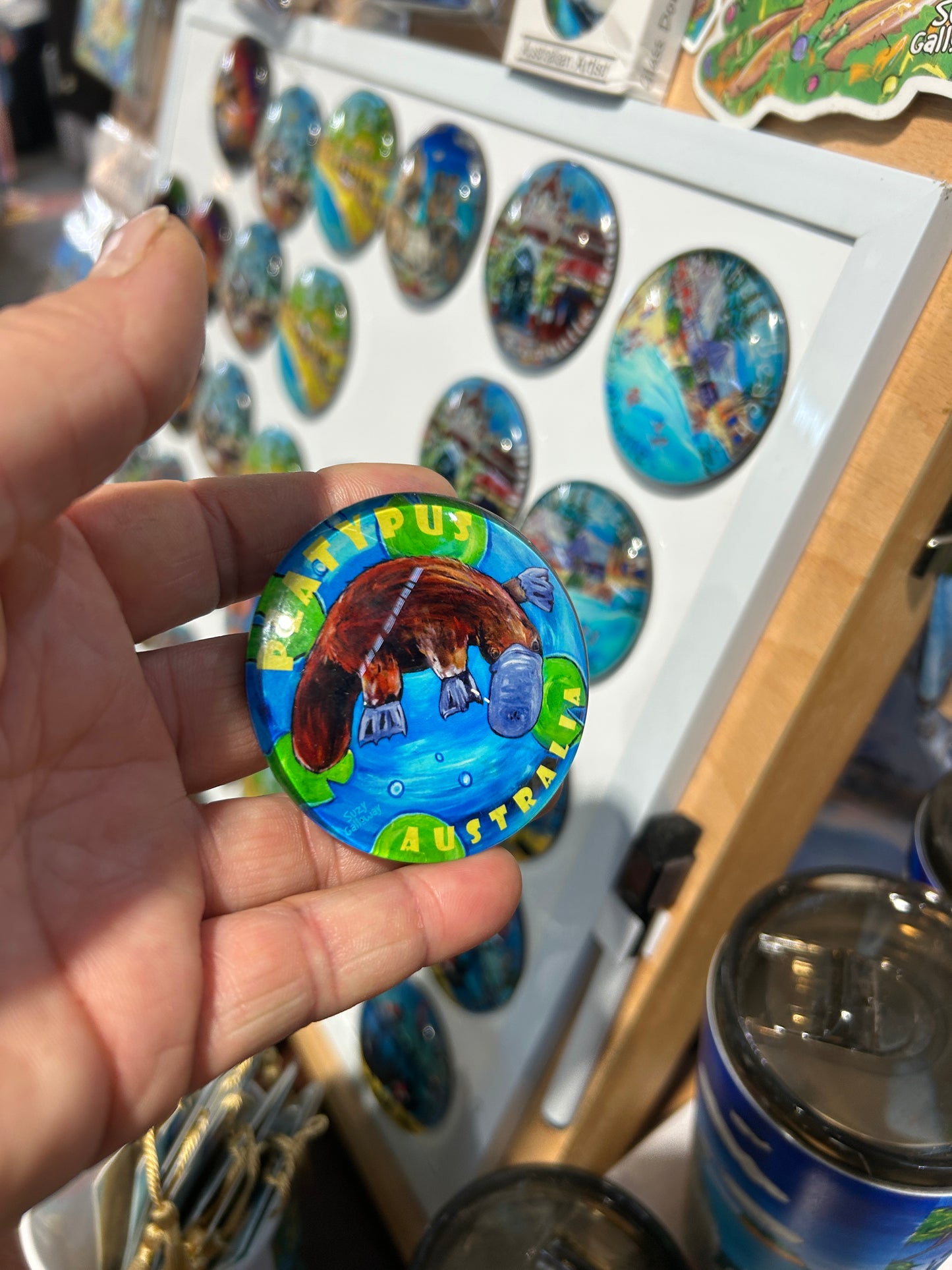 Magnet Glass Dome - Platypus