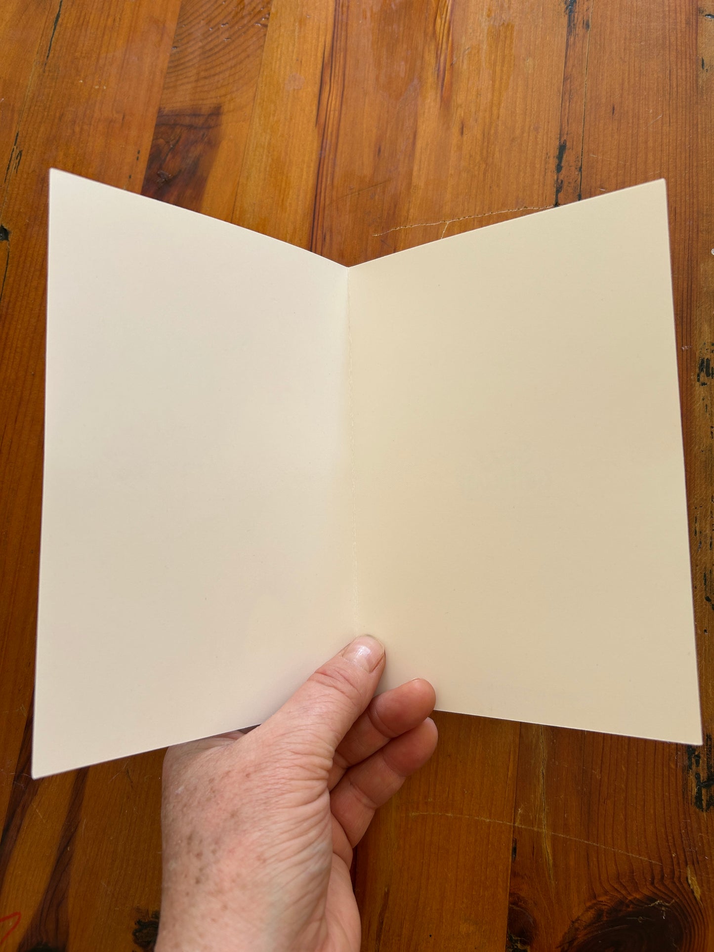 Australian Idol Greeting/ Gift Card