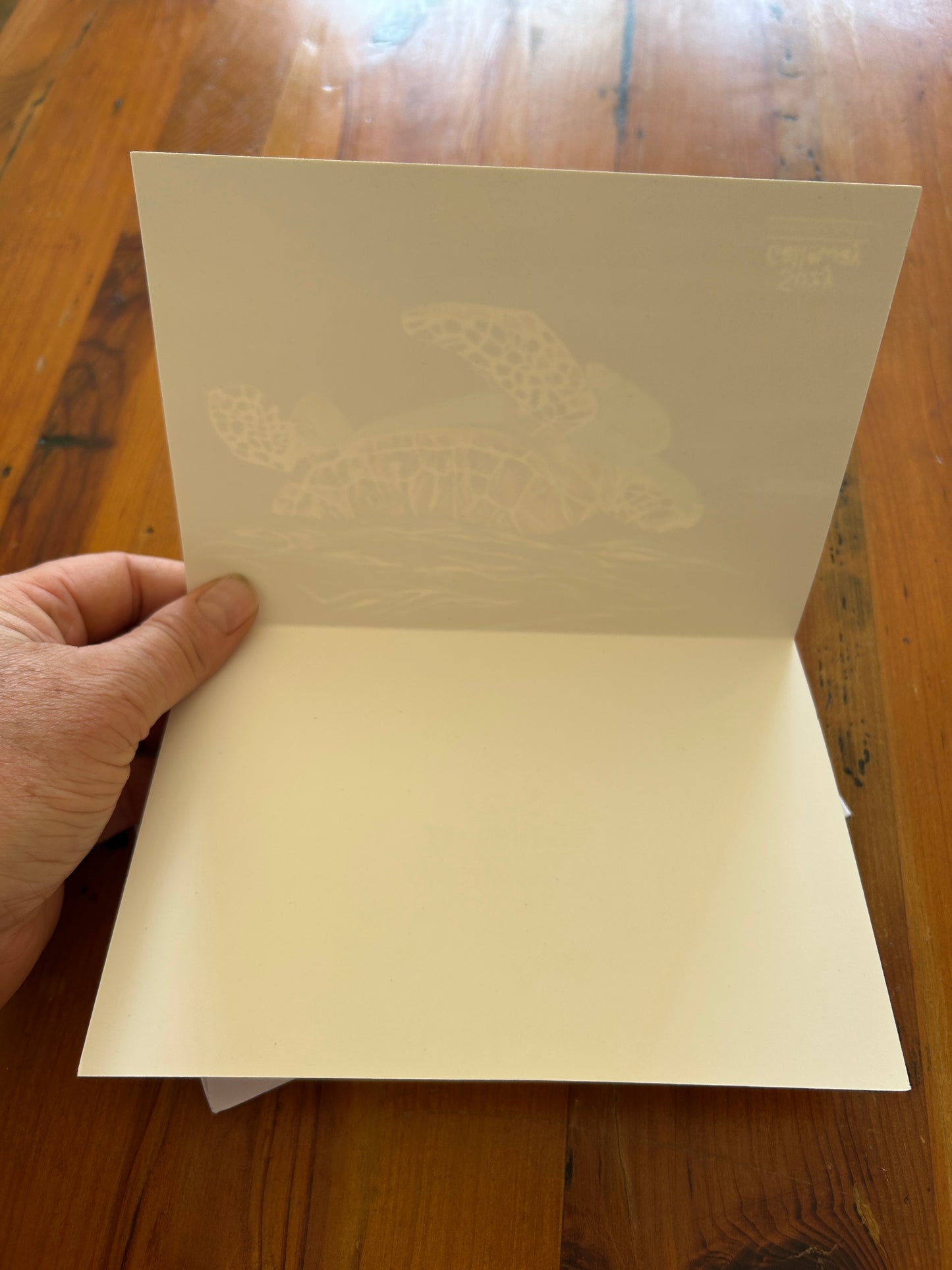 Blue Turtle Greeting/ Gift Card