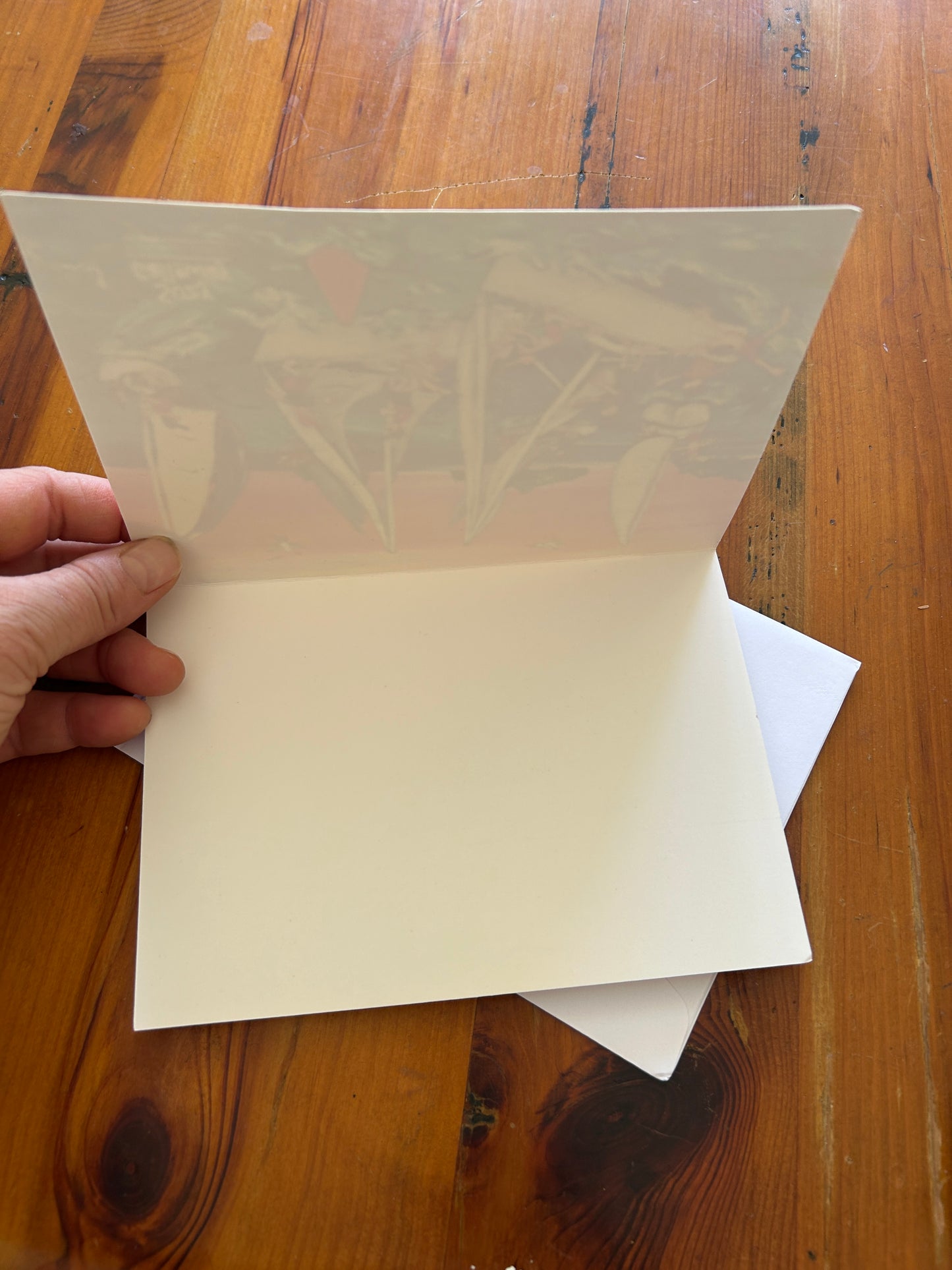 Sailing Greeting/Gift Card