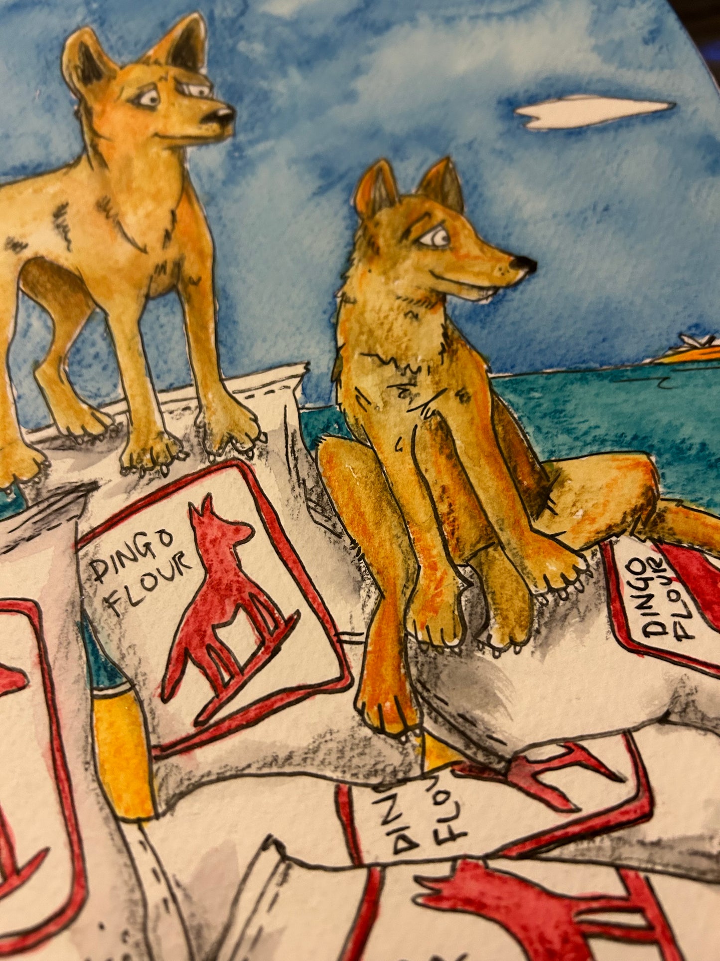 Dingoes on Dingo Flour